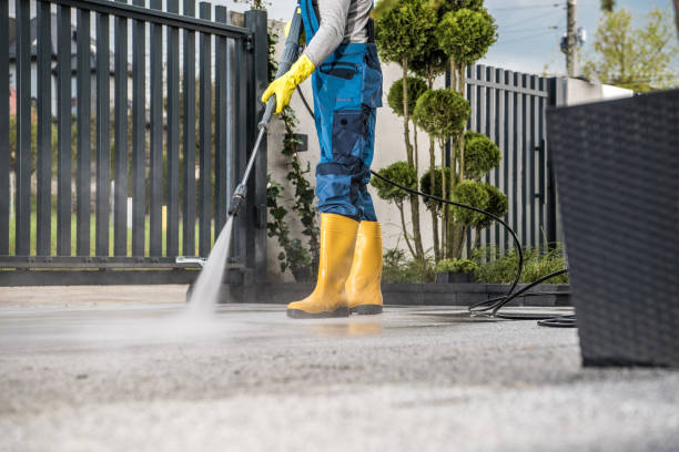 Best Roof Pressure Washing  in Hodgkins, IL